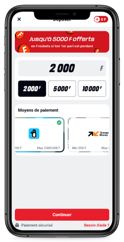 Capture d'écran de la page du système de paiement