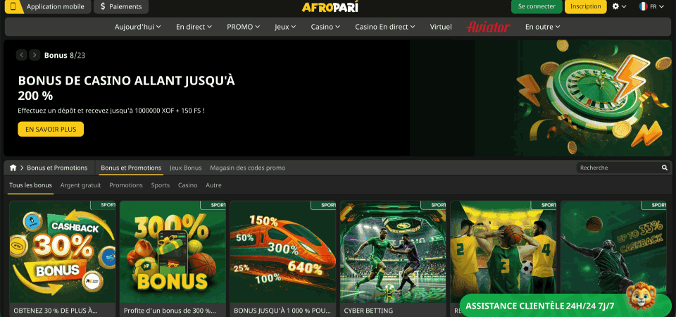 Capture d'écran de la page de promotion de AfroPari