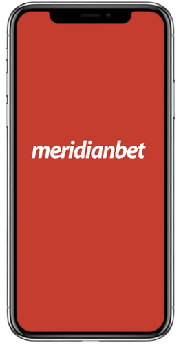 Logo Meridianbet-800x500sa