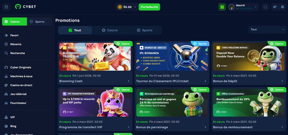 Capture d'écran de la page promotionnelle de Cybet