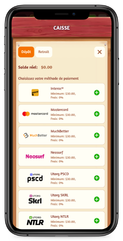 Capture d'écran de la page de dépôt de Billybets
