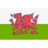Pays de Galles logo